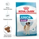 Сухой корм для цуценят гігантських порід Royal Canin Giant Junior, 15 кг - зображення 4