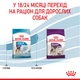 Сухой корм для цуценят гігантських порід Royal Canin Giant Junior, 15 кг - зображення 7