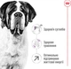 Сухий корм для дорослих собак Royal Canin Giant Adult гігантських порід старше 2 років 15 кг (3182550703079) (91970) (3009150) - изображение 3