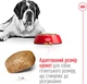 Сухий корм для дорослих собак Royal Canin Giant Adult гігантських порід старше 2 років 15 кг (3182550703079) (91970) (3009150) - изображение 5