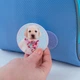 Бейдж на липучці Kite Studio Pets (SP24-3011-2) - зображення 2