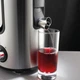 Соковыжималка Gorenje JC 900 E - изображение 3