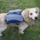 Сумка-сідло для собак Voyager Pet Dog Bagpack M Синій - зображення 9