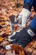 Багатофункціональний інструмент NEO Tools (11 елементів) мультитул (26492) - зображення 4