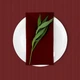 Скатерть WINE 4582963 - изображение 5