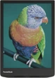 Електронна книга PocketBook 743С InkPad Color 2 - зображення 4