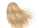 Крем-краска для волос Green Light с белым чаем и экстрактом орхидеи Luxury Haircolor Permanent Coloring Cream 9.003 Warm Very Light Blonde 100 мл - изображение 2