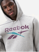 Худі утеплене чоловіче Reebok Identity Big Logo Fleece Hoodie 100206026 S Сіре (1200143879672) - зображення 5