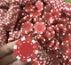 Набор фишек для покера Profi, без номинала, красные, 25 шт. - изображение 6