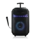 Портативная Bluetooth колонка RIAS RX-8188 8" RGB чемодан с караоке 1800 mAh 10W Black (3_05102) - изображение 2