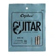 Струни Orphee RX19 11-50 Medium - зображення 1