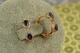 Серьги Xuping Jewelry две капельки с черными камнями 1.5 см золотистые - изображение 2