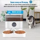 Автоматична кормушка для котів і собак PetLife 5L на 2 миски, смарт годівниця з Відеокамерою та WIFI, Білий (087-WHITE) - зображення 9