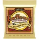 Струны Ernie Ball 2069 Earthwood 80/20 Bronze 28-42 Folk Nylon Clear & Gold Ball End - изображение 1