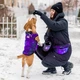 Курточка для собак WAUDOG Clothes малюнок NASA21 M40 В 63-66 см С 39-42 см - зображення 4