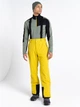 Горнолыжные брюки мужские Dare 2b Achieve II Pant DMW486R-68L M Желтые (5059404791552) - изображение 1
