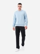 Свитшот мужской Garne Erwan 3042GR200 XL Синий (GR2000003002559) - изображение 4