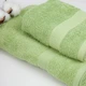 Полотенце для лица банное ТЕП Honey Salad Green Р-04138-27855 70х140 см салатовое - изображение 1