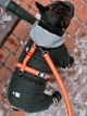 Шлея для собак водостійка анатомічна Н-подібна WAUDOG Waterproof з QR паспортом, світловідбивна, пластикова пряжка-фастекс, помаранчева, розмір L - зображення 12