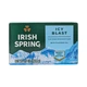 Мило дезодоруюче Irish Spring Icy Blast 104.8 г 1 шт - зображення 1
