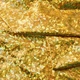 Ткань трикотаж Лазер голограмма большой золотой - изображение 2