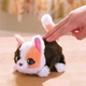 Інтерактивна іграшка Furreal серії My Mini's - Маленьке кошеня (6900007423502) - изображение 4