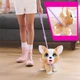 Інтерактивна іграшка Furreal серии Poop-A-Lots - Коргі (6900007423755) - изображение 4
