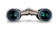 Бінокль Vanguard Vesta Compact 10x21 WP Champagne (Vesta 1021 Cham) (DAS301034) - зображення 9