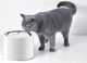 Миски и контейнеры PETKIT Eversweet 3 PRO Water Fountain White Фонтан-поилка для собак и кошек 1,8 л (P4108 UVC) - изображение 6
