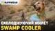 Охлаждающая попона для собак Ruffwear Swamp Cooler™ XS Зеленый (05403-330S1) - изображение 8