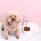 Миска для кошек и собак двойная Pet Love Bowl автопоилка на подставке с отделом для корма - изображение 3