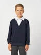 Подростковый свитшот-обманка для мальчика Smile Time Scholar OX26-03-3 164 см Синий с белым в крапинку (st_2000000190440) - изображение 1