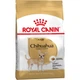 Cухий корм для собак Royal Canin Chihuahua Adult 1,5 кг - изображение 1