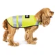 Жилетка для собак Pet Fashion "Yellow Vest" S - зображення 1