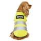 Жилетка для собак Pet Fashion "Yellow Vest" S - зображення 2