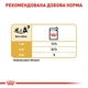 Вологий корм для собак Royal Canin Chihuahua Adult 85 г - изображение 6