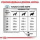 Cухий корм для собак Royal Canin Anallergenic 3 кг - изображение 8