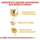 Cухий корм для собак Royal Canin French Bulldog Adult 3 кг - изображение 3