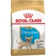Cухий корм для цуценят Royal Canin Puppy Chihuahua 500 г - изображение 1