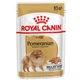 Вологий корм для собак Royal Canin Adult Pomeranian 85 г - изображение 1