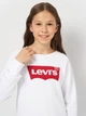 Подростковый свитшот Levi's LVG Key Item Logo Crew 4E6660-W5J 158 см - изображение 4