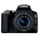 Зеркальный фотоаппарат Canon EOS 250D kit (18-55mm) EF-S IS STM - изображение 1