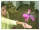 Летающая кукла фея Flying Fairy | Игрушка для девочек - изображение 5