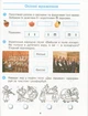 Мистецтво 2 клас. Роб.зошит КОМПЛЕКТ з альбомом до підр. Калініченко - Наземнова Т. - РАНОК (123890) - зображення 3