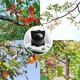 Шары для укоренения растений PlantGrow, 10 штук - изображение 12
