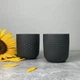 Набор из 2 стаканов Villeroy & Boch Manufacture Rock 290 мл черный (1016828403) - изображение 1