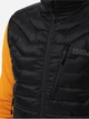Теплый жилет мужской Jack Wolfskin Routeburn Pro Ins Vest M 1206872_6000 2XL Черный (4064993903553) - изображение 4