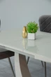 Стол обеденный Concord Beige gloss 120*80 Евродом T-904 - изображение 7