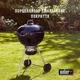 Угольный гриль Weber Master-Touch GBS E-5750 57 см (14701004) - изображение 3