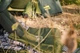 Шкарпетки демісезонні Tramp UTRUS-001-olive 41/43 (145887) UTRUS-001-olive-41/43 - изображение 10